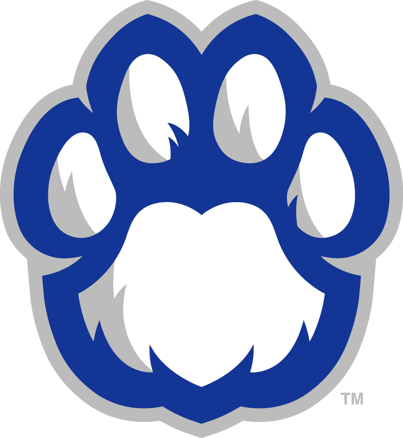 Eastern Illinois Panthers 2015-Pres Alternate Logo DIY iron on transfer (heat transfer)